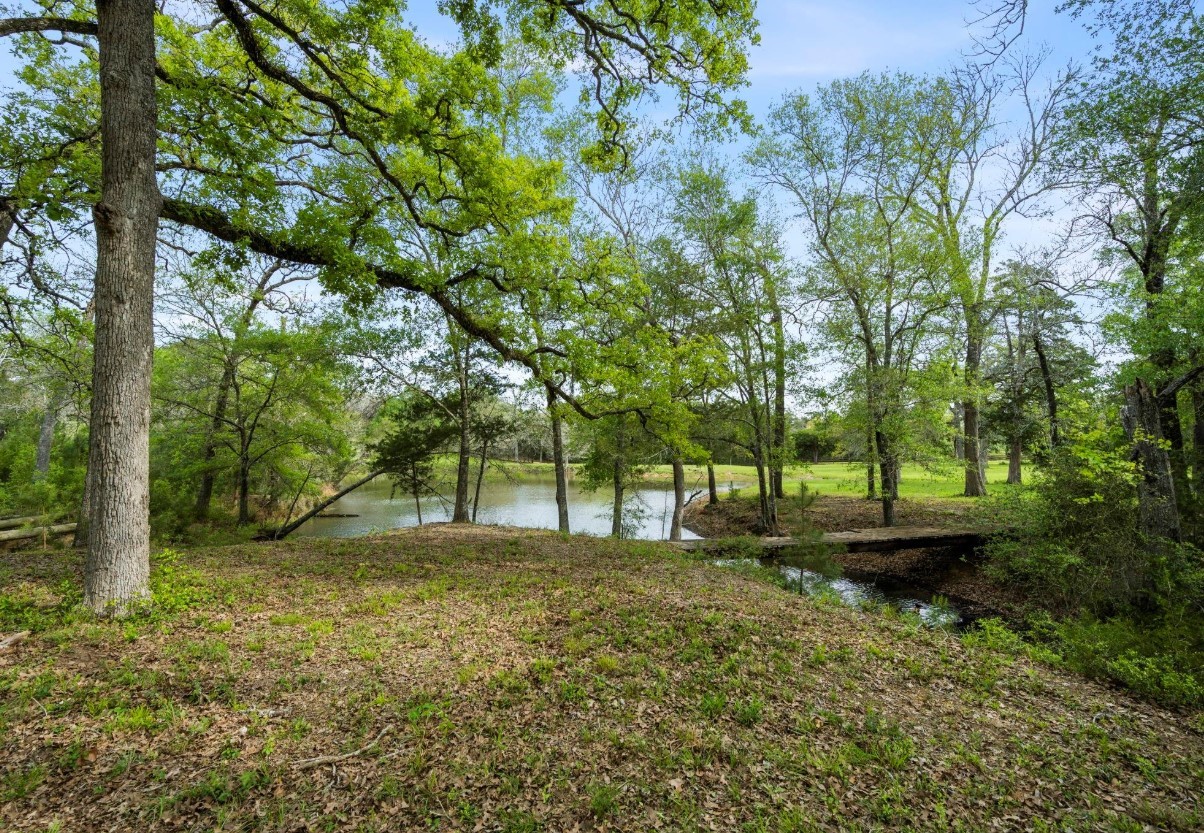 0 Lesikar Road New Ulm, TX 78950 - Photo 4 of 11 a large tree in the middle of a yard