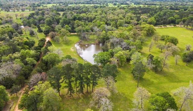 a view of a garden from a balcony