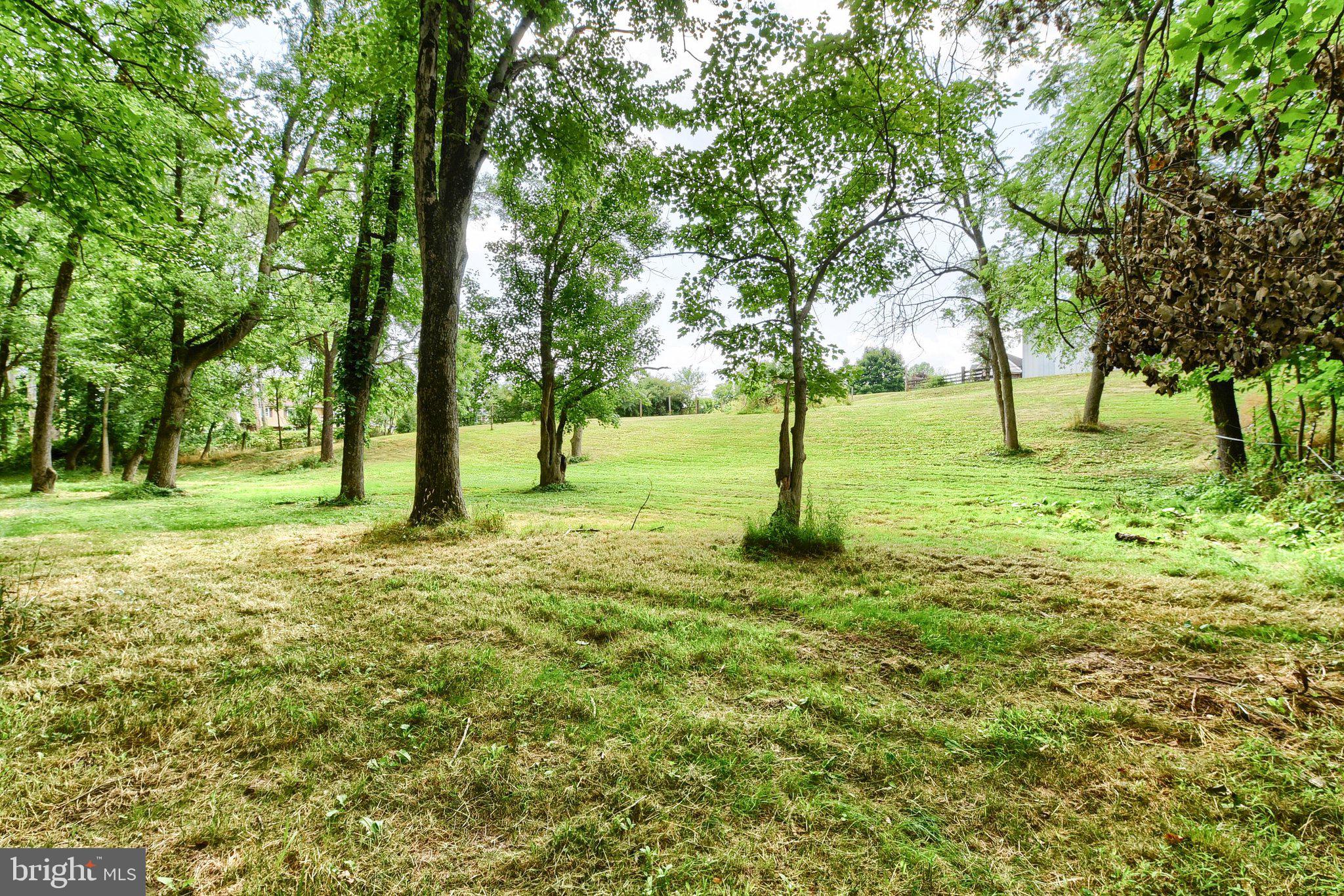 3740 Beagle Road Middletown, PA 17057 - Photo 45 of 70 wooded acreage
