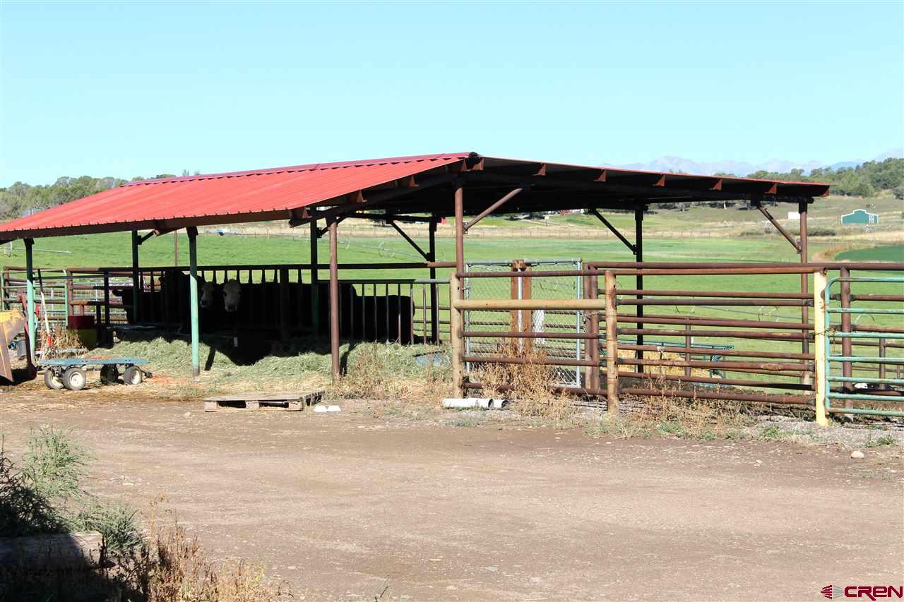 1747 County Road 514 Ignacio, CO 81137 - Photo 14 of 31