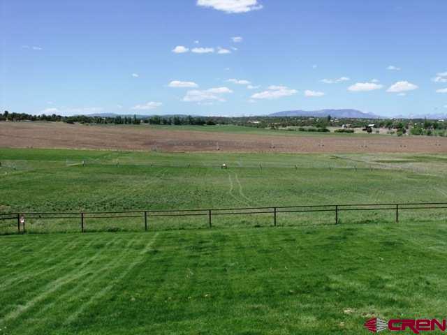 1747 County Road 514 Ignacio, CO 81137 - Photo 17 of 31