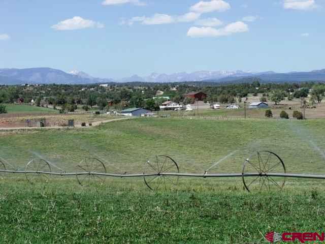 1747 County Road 514 Ignacio, CO 81137 - Photo 18 of 31