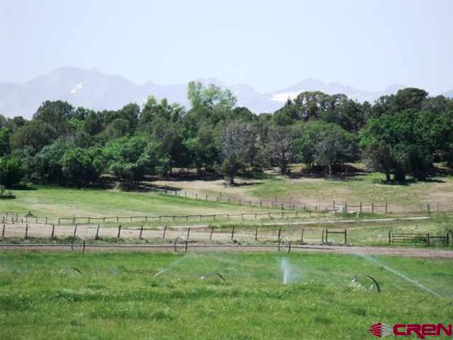 1747 County Road 514 Ignacio, CO 81137 - Photo 19 of 31