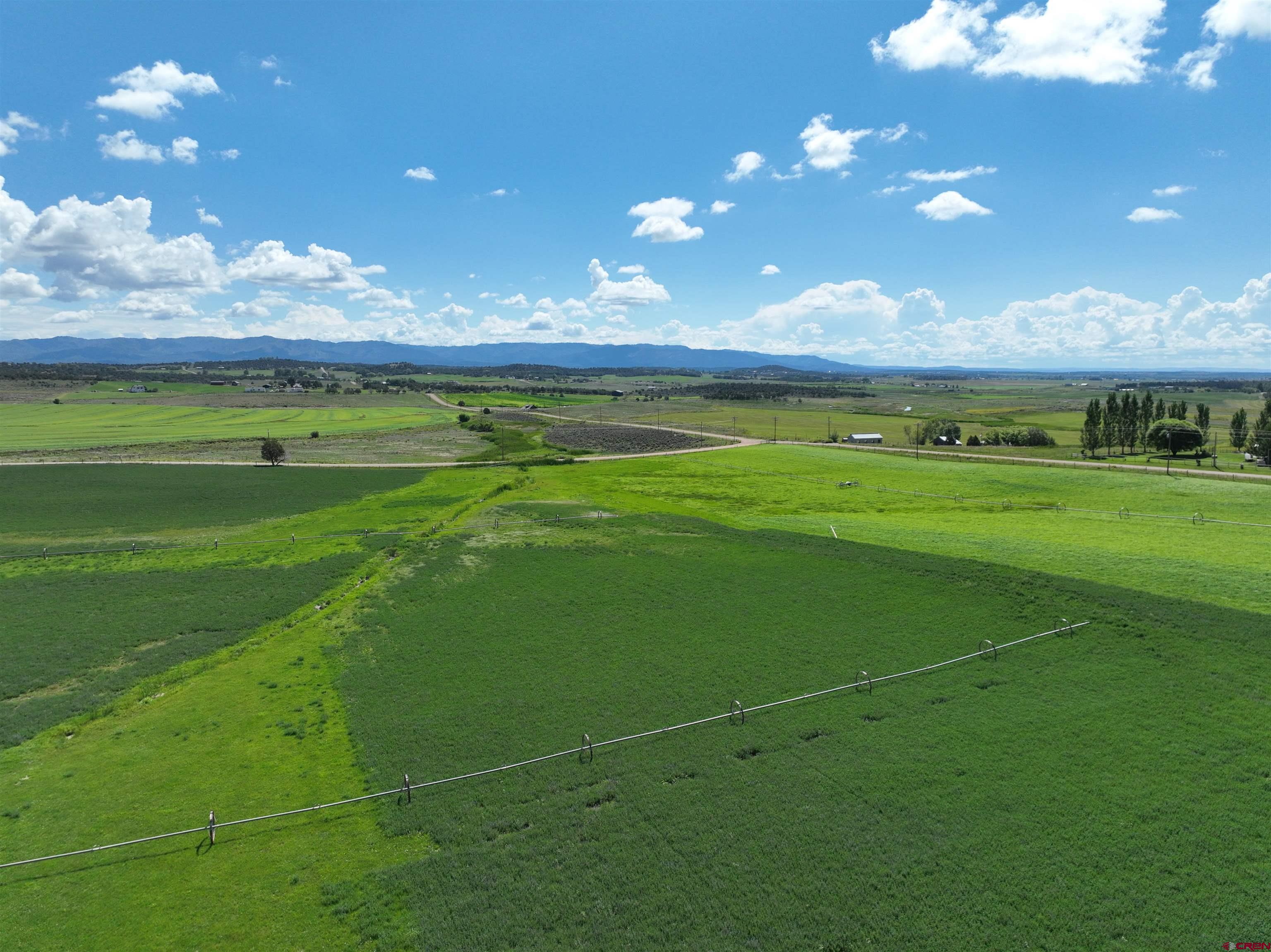 1747 County Road 514 Ignacio, CO 81137 - Photo 6 of 31