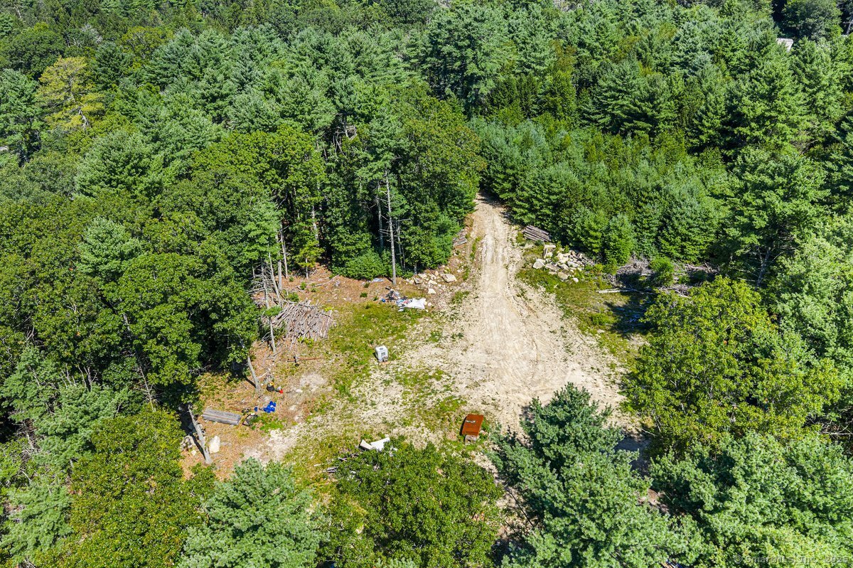 35 River Road Sterling, CT 06377 - Photo 2 of 8 a view of a yard with plants and a building