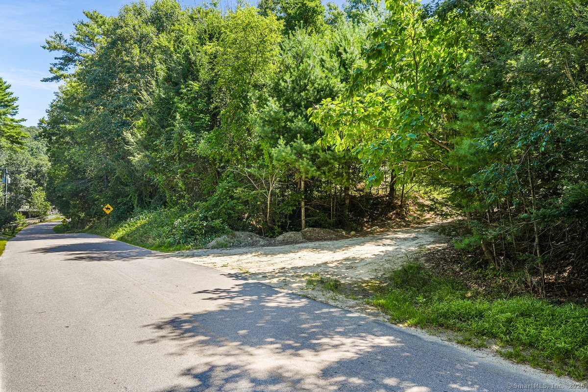 35 River Road Sterling, CT 06377 - Photo 6 of 8 a view of a yard with plants and trees