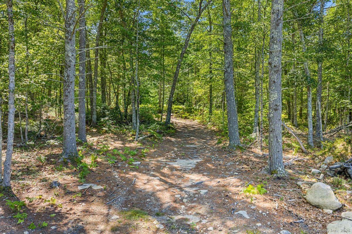 35 River Road Sterling, CT 06377 - Photo 7 of 8 a view of outdoor space and trees