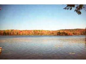 80 Lookout Point Road Washington, NH 03280 - Photo 1 of 1