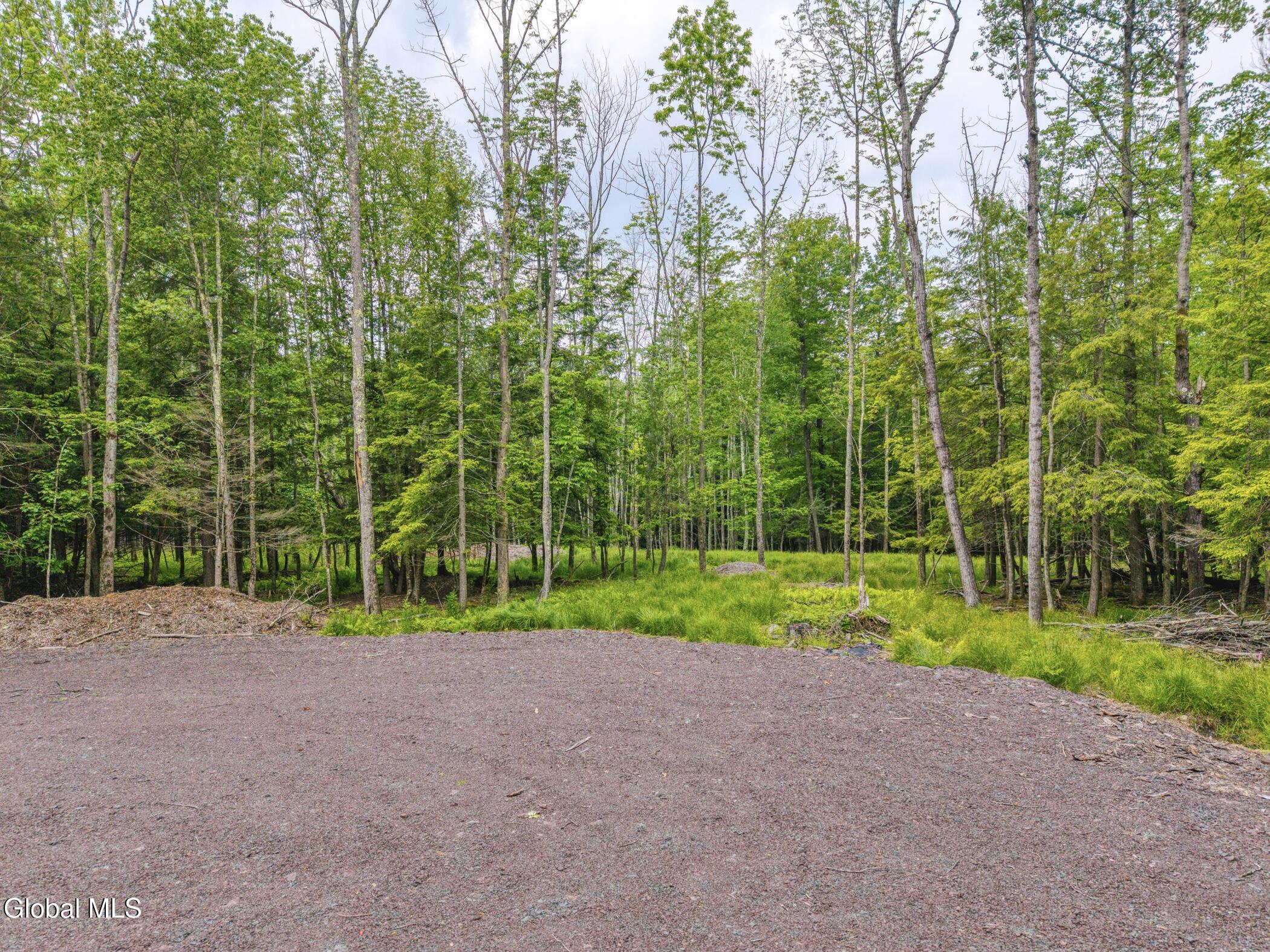 L36 Boulder Brook Road, Unit LOT # 12 Windham, NY 12496 - Photo 43 of 44 Image-66
