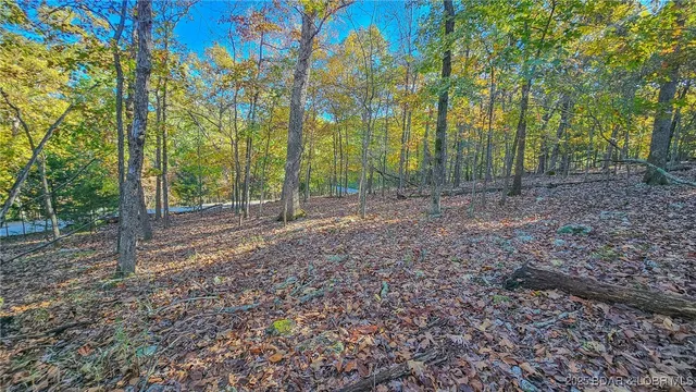 $24,000 | Lot #785 Muirfield Drive, Sunrise Beach, MO 65079