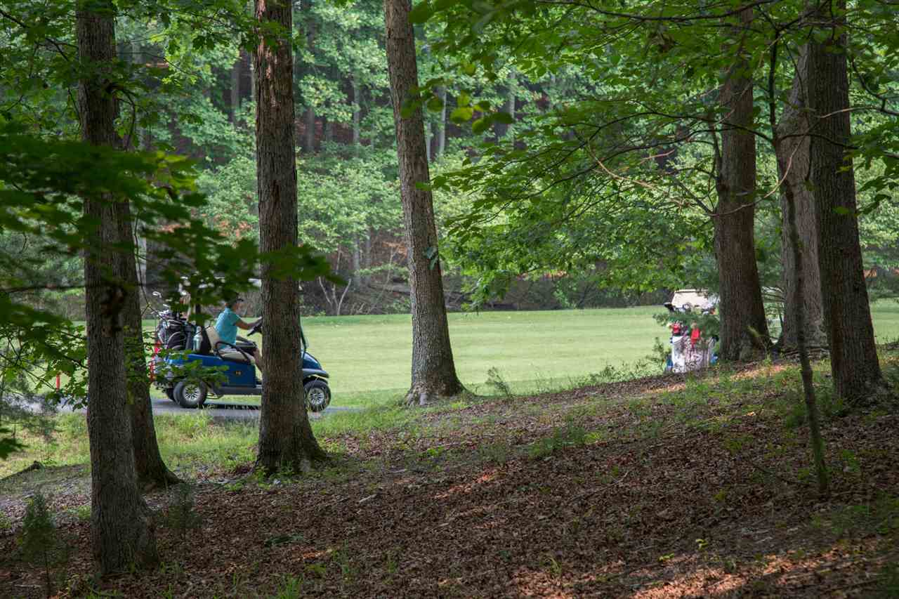 50 Oak Grove Road Palmyra, VA 22963 - Photo 17 of 50 a backyard of a house with lots of green space