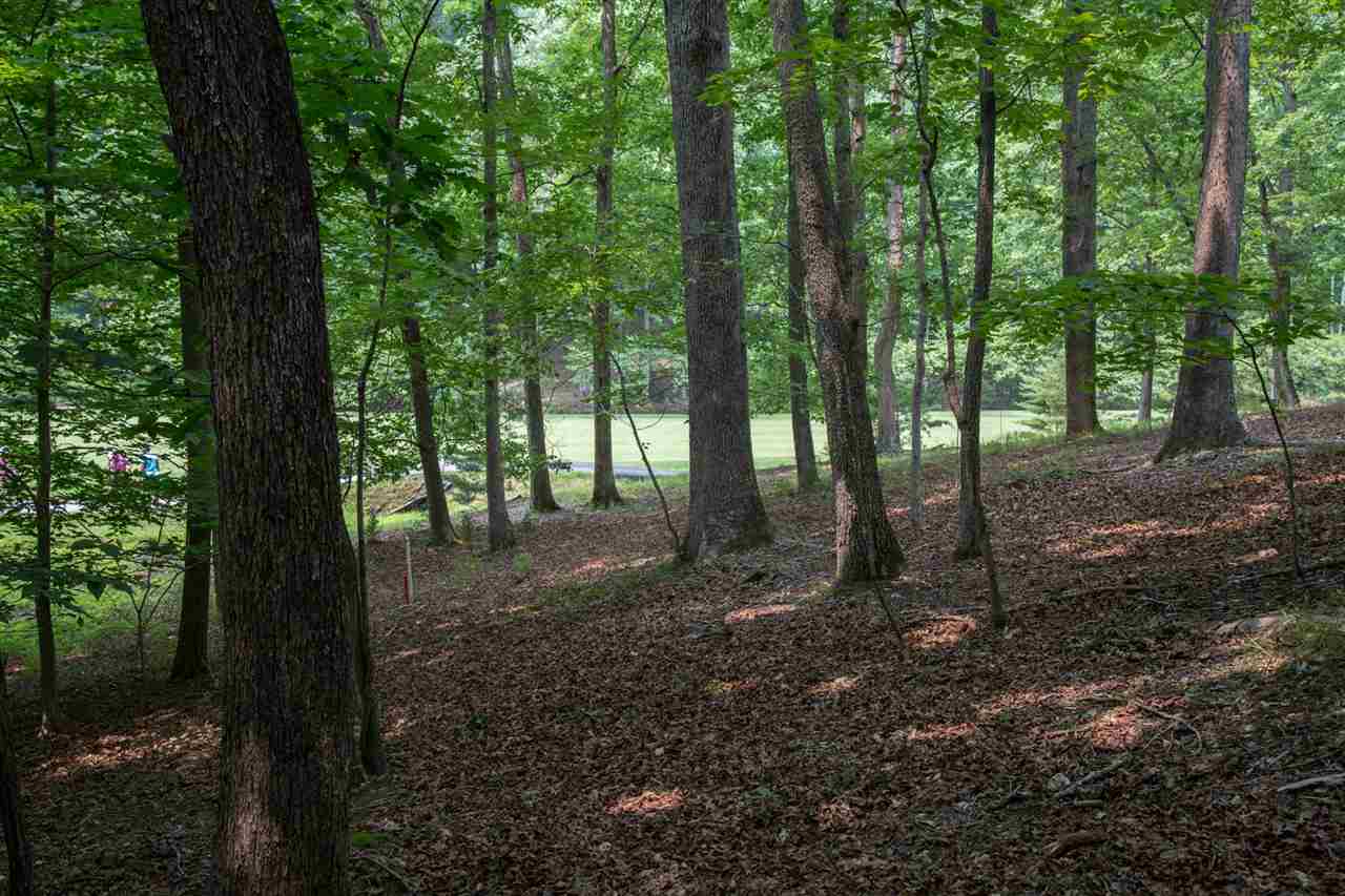 50 Oak Grove Road Palmyra, VA 22963 - Photo 22 of 50 a view of outdoor space and trees