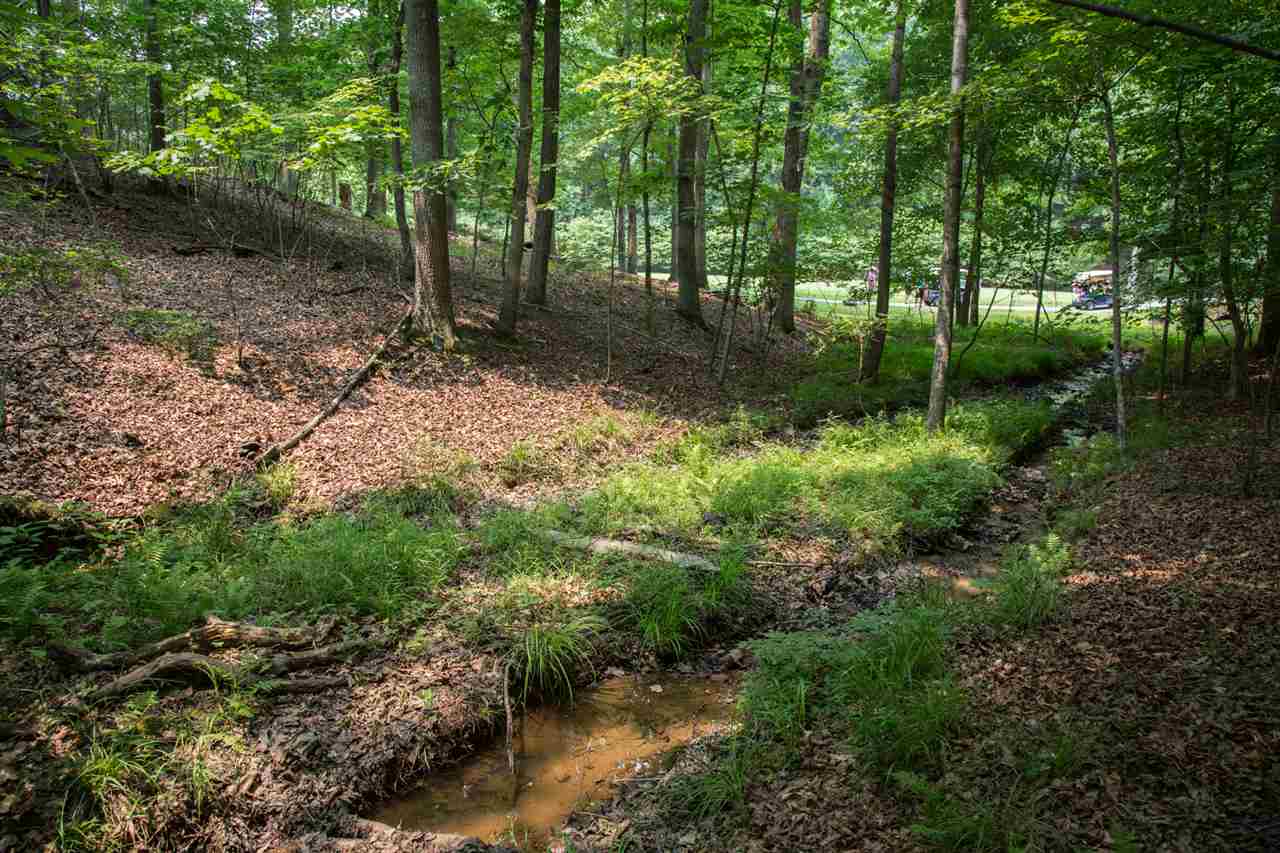 50 Oak Grove Road Palmyra, VA 22963 - Photo 23 of 50 a view of a forest with trees