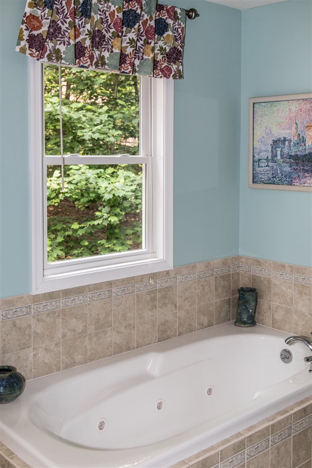 50 Oak Grove Road Palmyra, VA 22963 - Photo 34 of 50 a bathroom with a bathtub and window