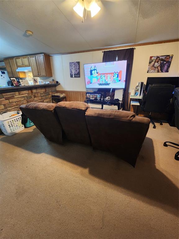 7120 Golden Meadows Road Greenwood, LA 71033 - Photo 3 of 14 Living area with carpet, wainscoting, crown molding, a textured ceiling, and wooden walls