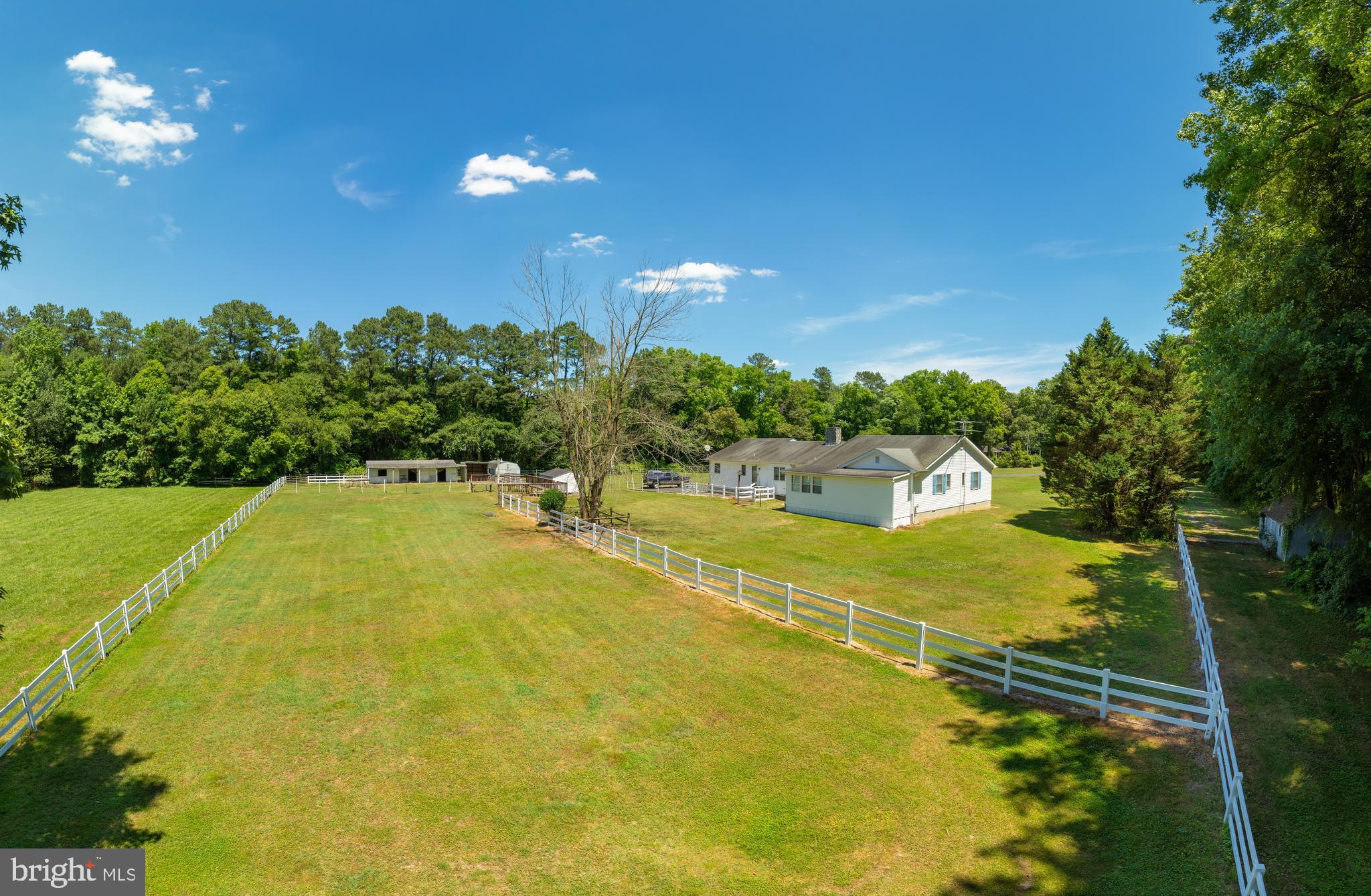 5250 Morris Road Parsonsburg, MD 21849 - Photo 5 of 37 Gallery Image 5
