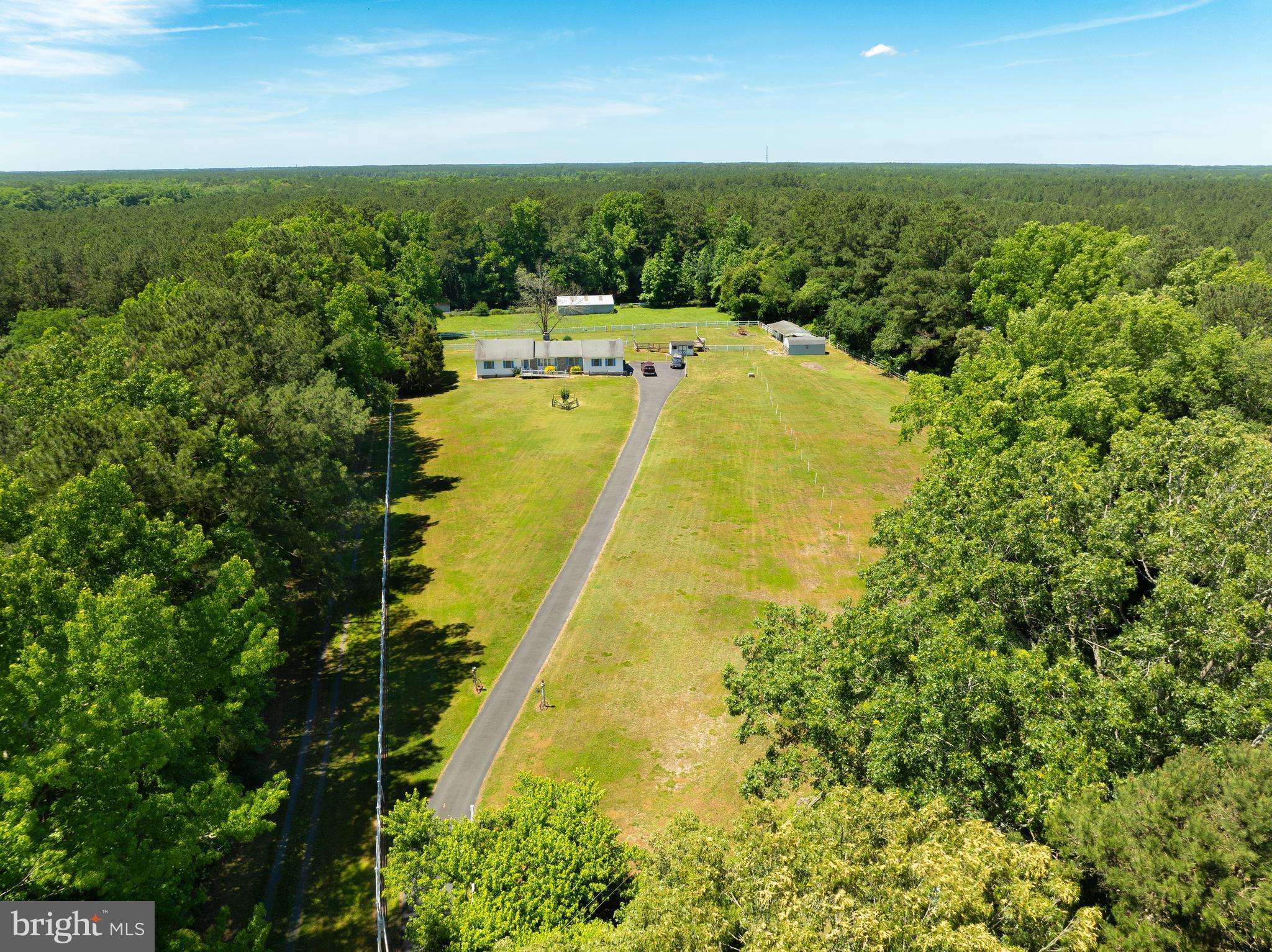 5250 Morris Road Parsonsburg, MD 21849 - Photo 9 of 37 Gallery Image 9