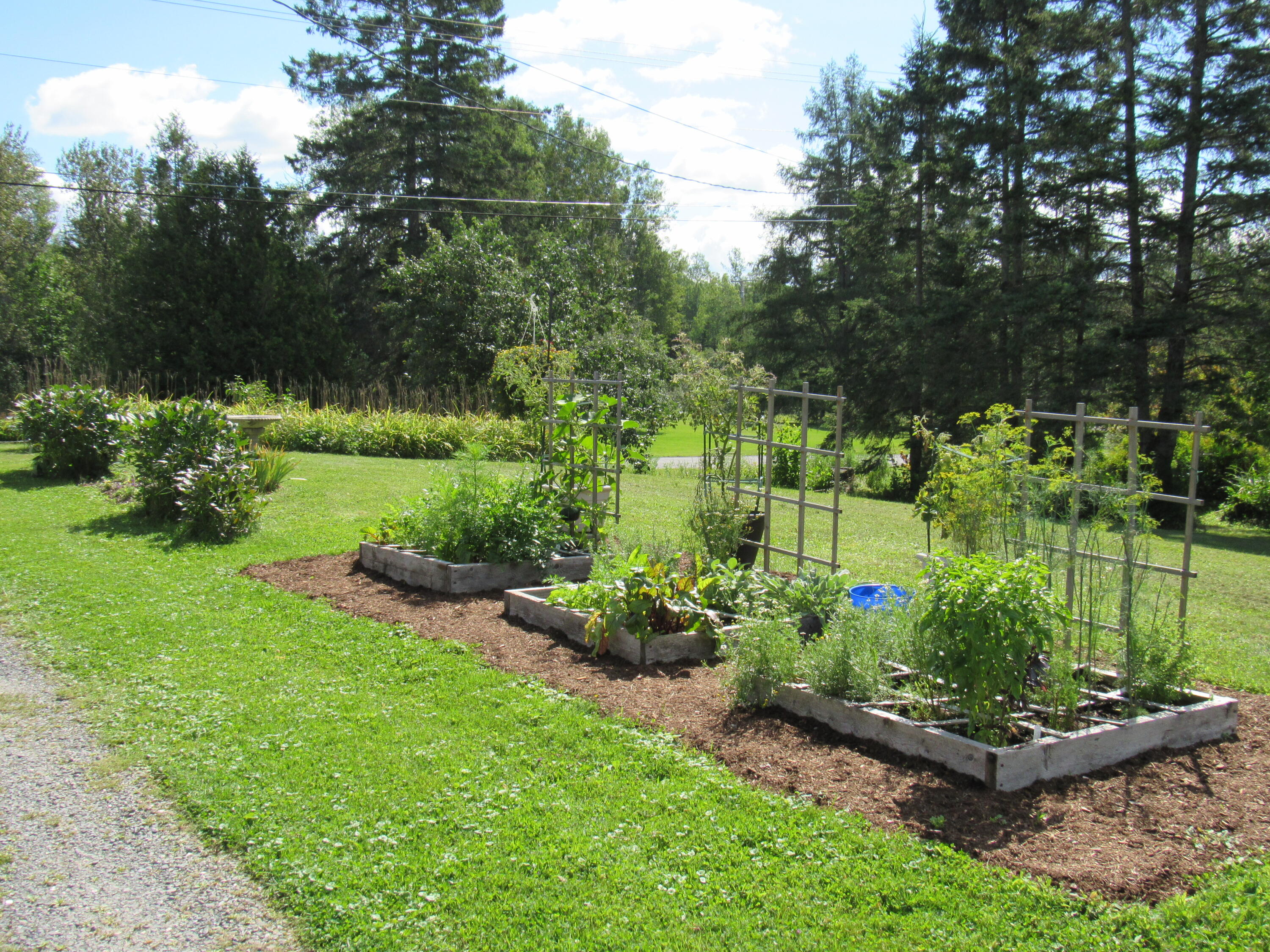 12 Jepson Road New Sweden, ME 04762 - Photo 51 of 55 Lanscape 6