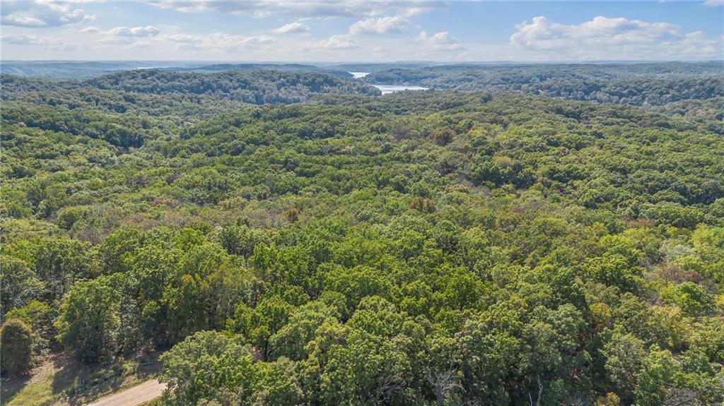 80-acres Proctor Road Gravois Mills, MO 65037 - Photo 11 of 76