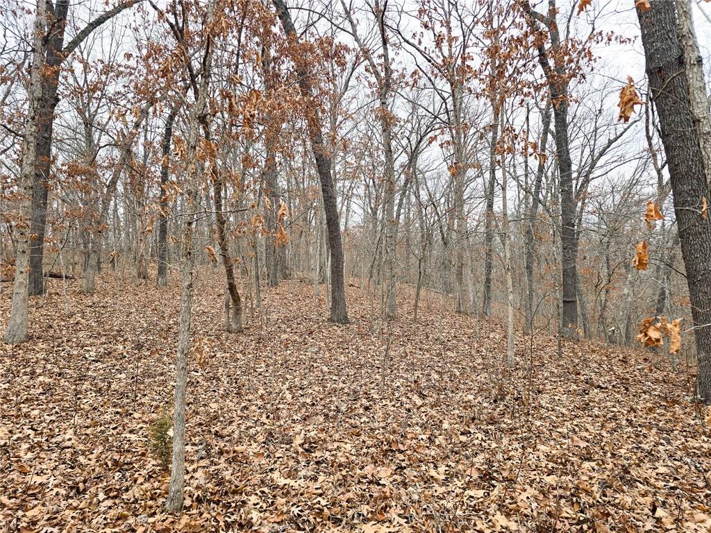 80-acres Proctor Road Gravois Mills, MO 65037 - Photo 12 of 76