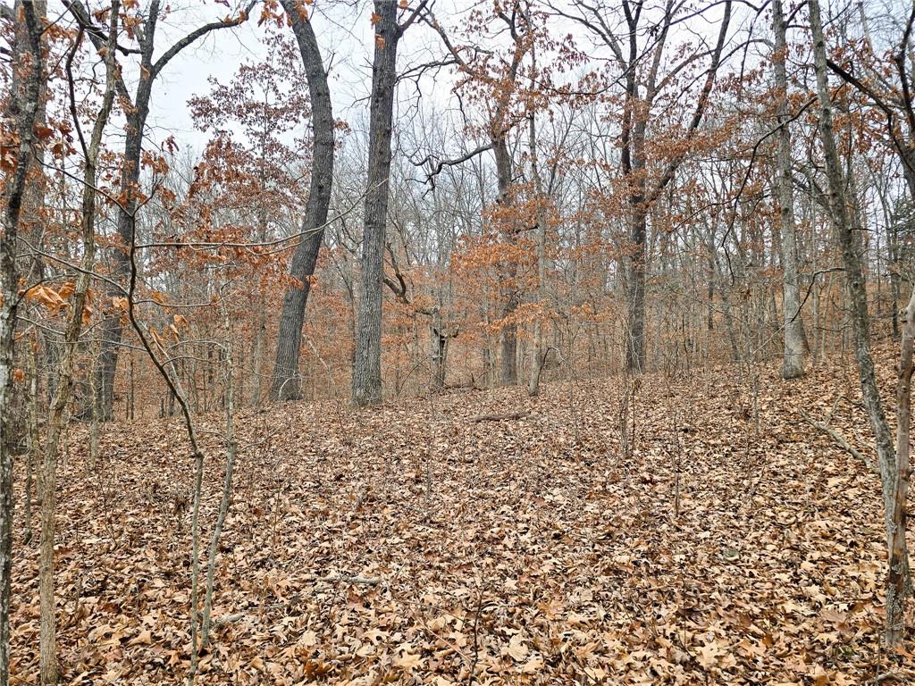 80-acres Proctor Road Gravois Mills, MO 65037 - Photo 13 of 76