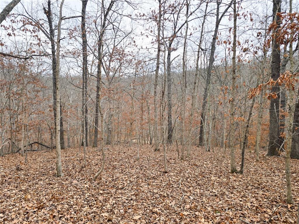 80-acres Proctor Road Gravois Mills, MO 65037 - Photo 14 of 76