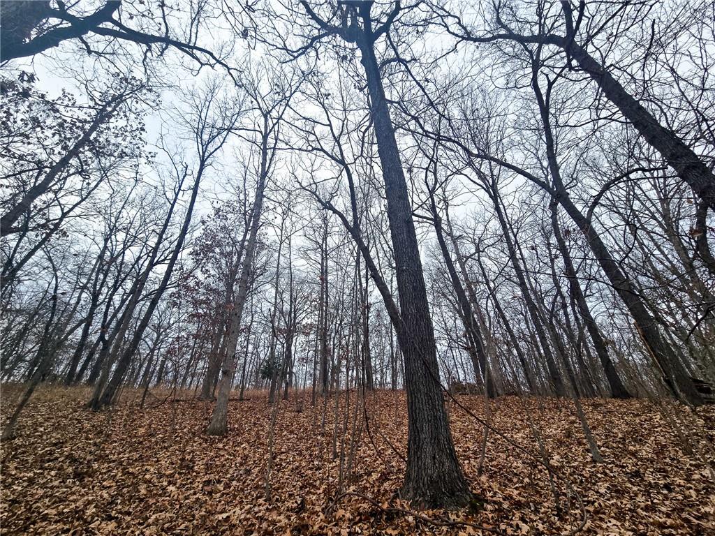 80-acres Proctor Road Gravois Mills, MO 65037 - Photo 16 of 76
