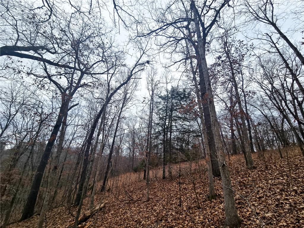 80-acres Proctor Road Gravois Mills, MO 65037 - Photo 18 of 76