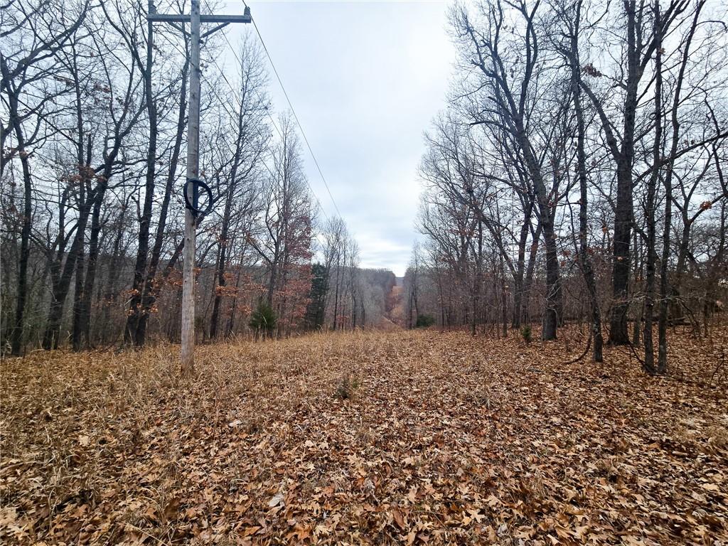 80-acres Proctor Road Gravois Mills, MO 65037 - Photo 20 of 76
