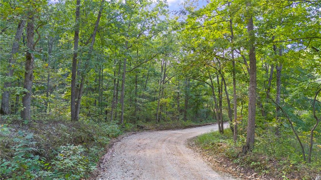 80-acres Proctor Road Gravois Mills, MO 65037 - Photo 2 of 76