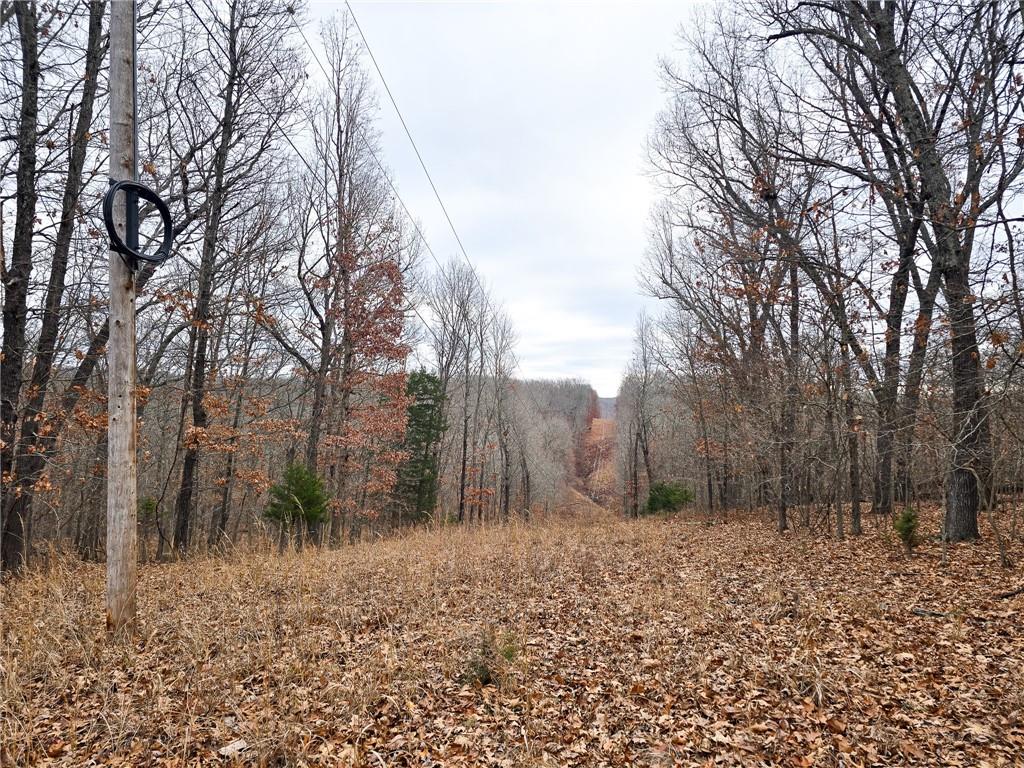 80-acres Proctor Road Gravois Mills, MO 65037 - Photo 21 of 76