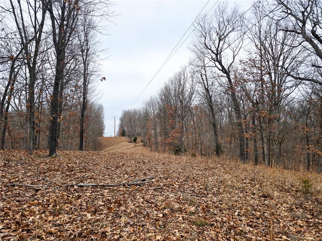 80-acres Proctor Road Gravois Mills, MO 65037 - Photo 22 of 76