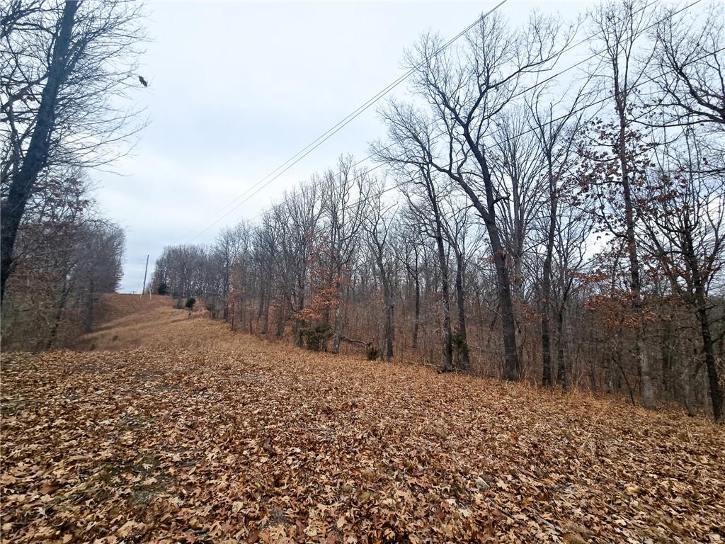 80-acres Proctor Road Gravois Mills, MO 65037 - Photo 23 of 76