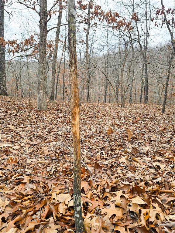 80-acres Proctor Road Gravois Mills, MO 65037 - Photo 24 of 76