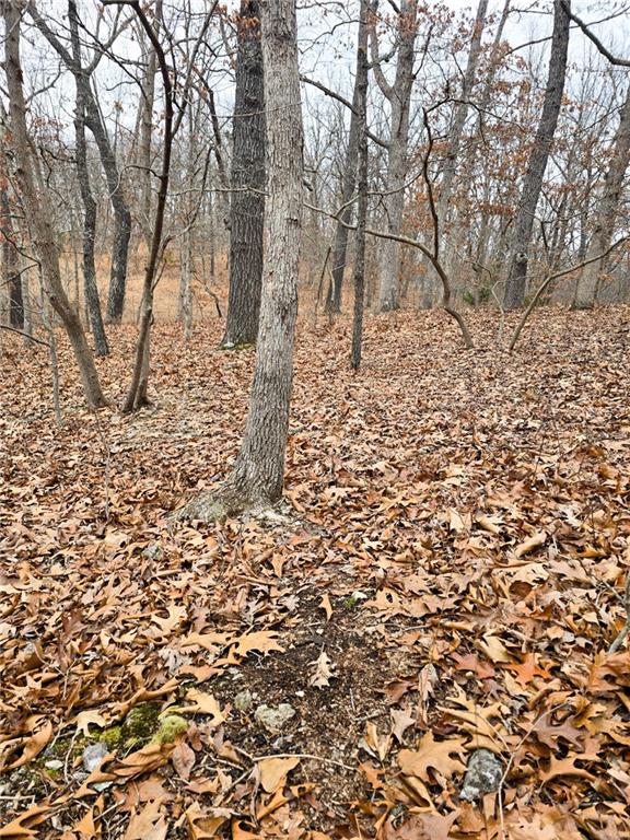 80-acres Proctor Road Gravois Mills, MO 65037 - Photo 25 of 76
