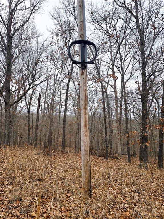 80-acres Proctor Road Gravois Mills, MO 65037 - Photo 26 of 76