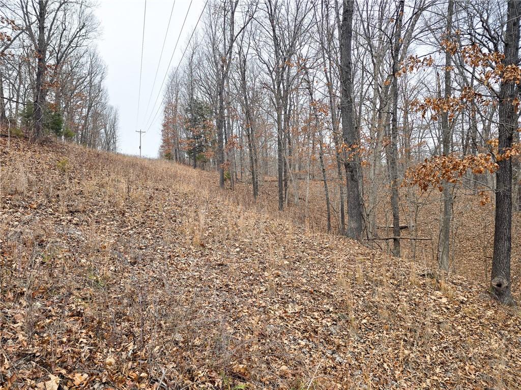 80-acres Proctor Road Gravois Mills, MO 65037 - Photo 27 of 76