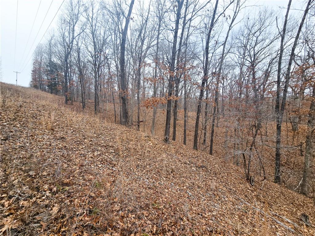 80-acres Proctor Road Gravois Mills, MO 65037 - Photo 28 of 76