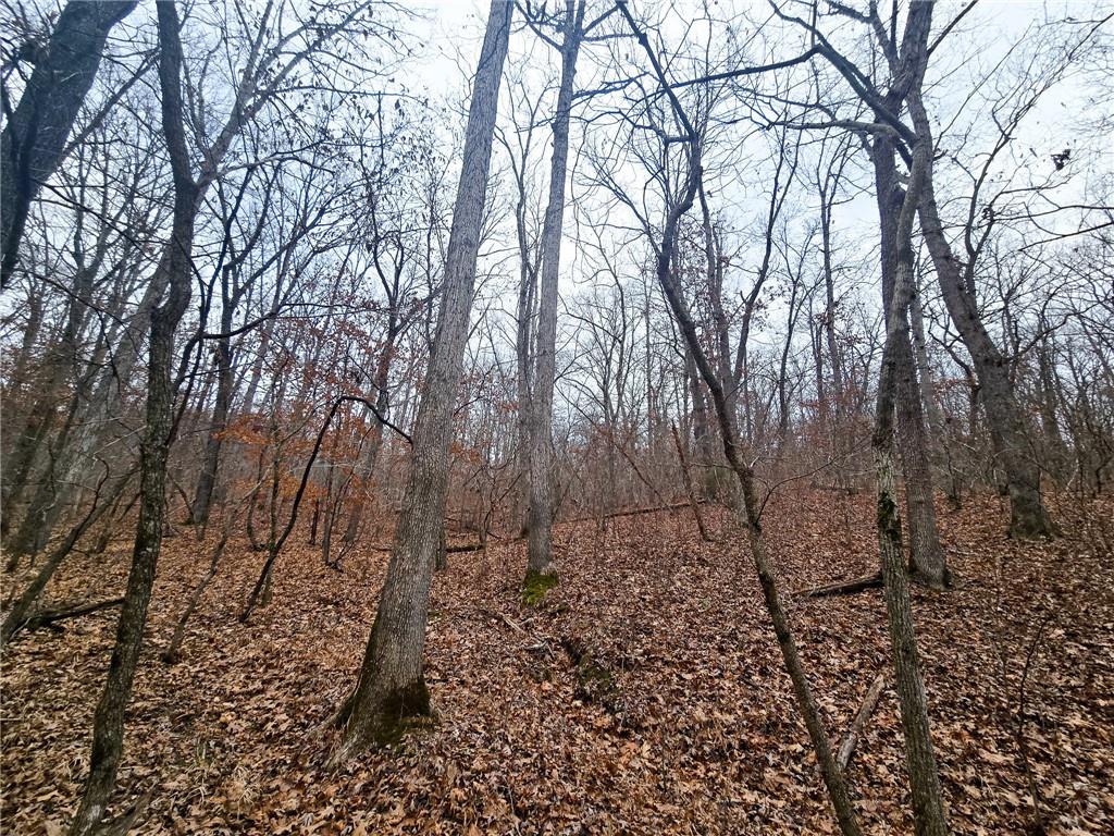 80-acres Proctor Road Gravois Mills, MO 65037 - Photo 29 of 76