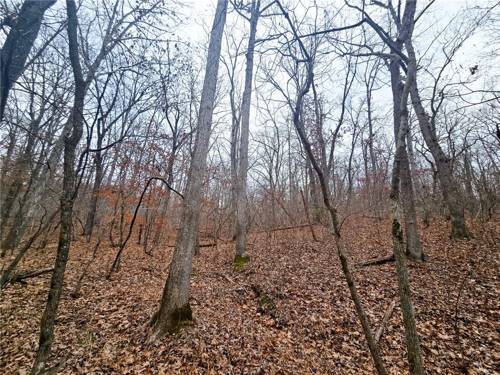 80-acres Proctor Road Gravois Mills, MO 65037 - Photo 30 of 76