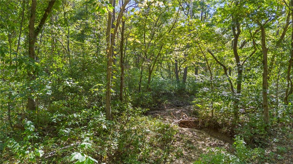 80-acres Proctor Road Gravois Mills, MO 65037 - Photo 3 of 76