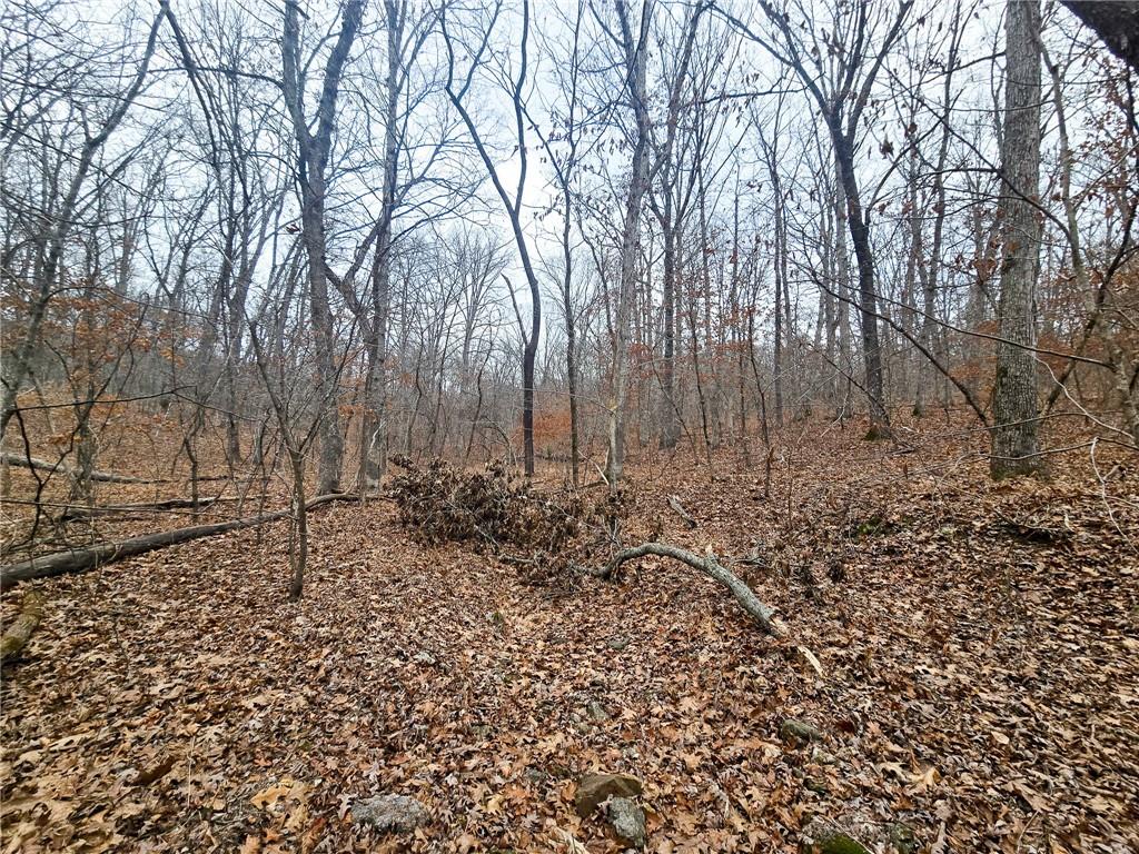 80-acres Proctor Road Gravois Mills, MO 65037 - Photo 31 of 76