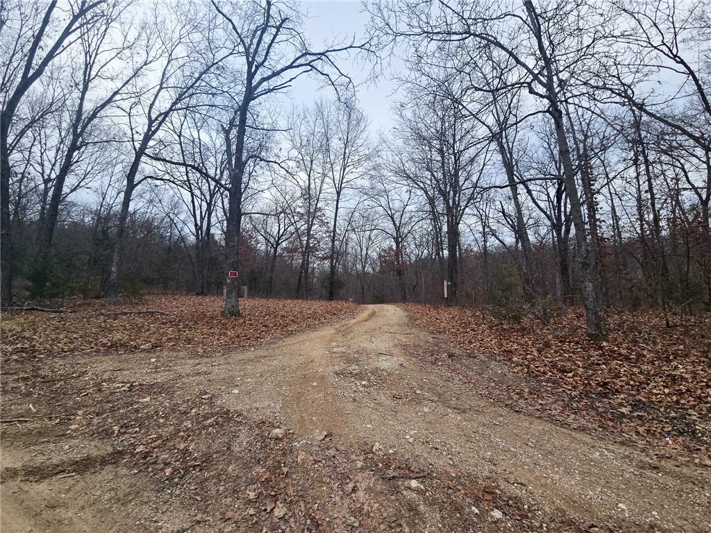 80-acres Proctor Road Gravois Mills, MO 65037 - Photo 33 of 76