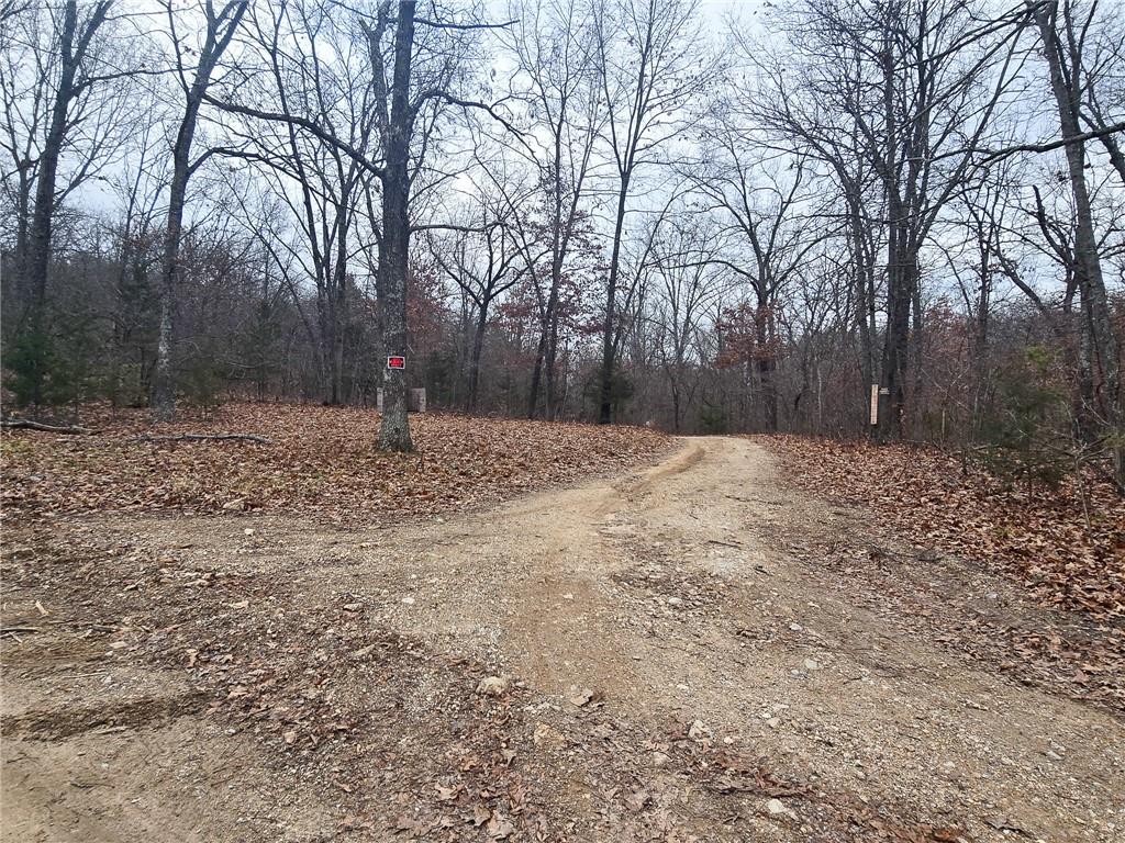 80-acres Proctor Road Gravois Mills, MO 65037 - Photo 34 of 76