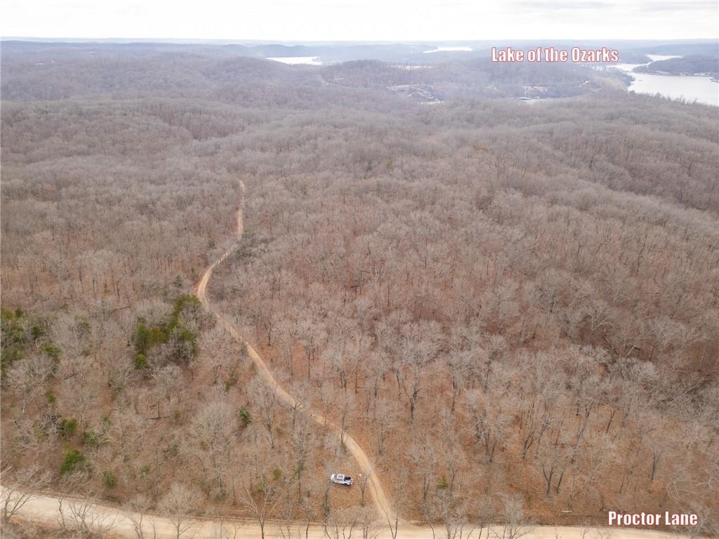 80-acres Proctor Road Gravois Mills, MO 65037 - Photo 35 of 76