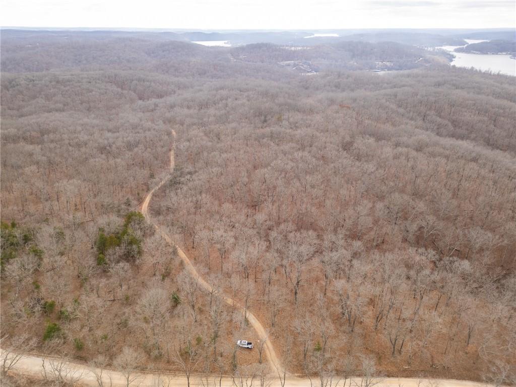 80-acres Proctor Road Gravois Mills, MO 65037 - Photo 36 of 76