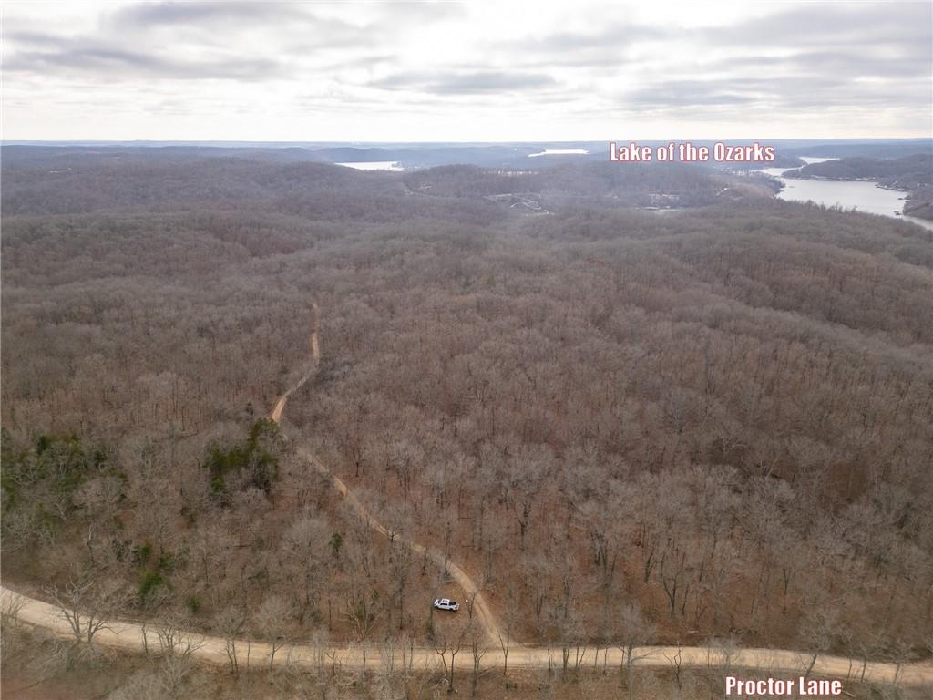 80-acres Proctor Road Gravois Mills, MO 65037 - Photo 37 of 76