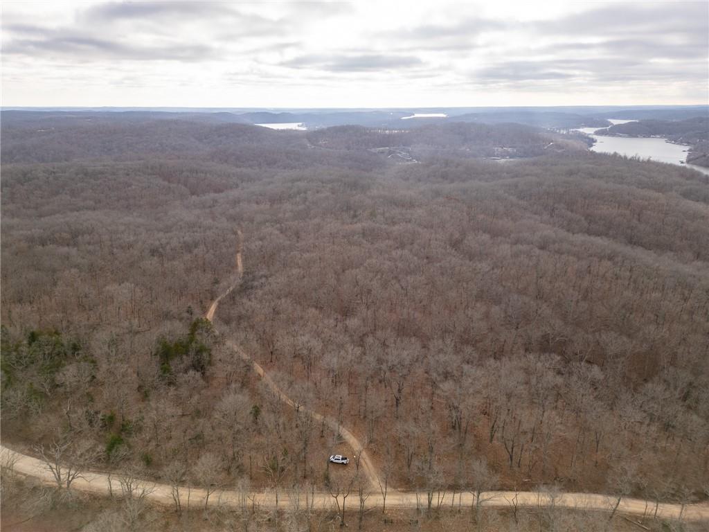 80-acres Proctor Road Gravois Mills, MO 65037 - Photo 38 of 76