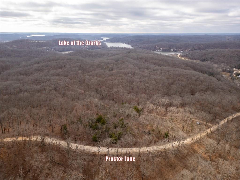 80-acres Proctor Road Gravois Mills, MO 65037 - Photo 39 of 76