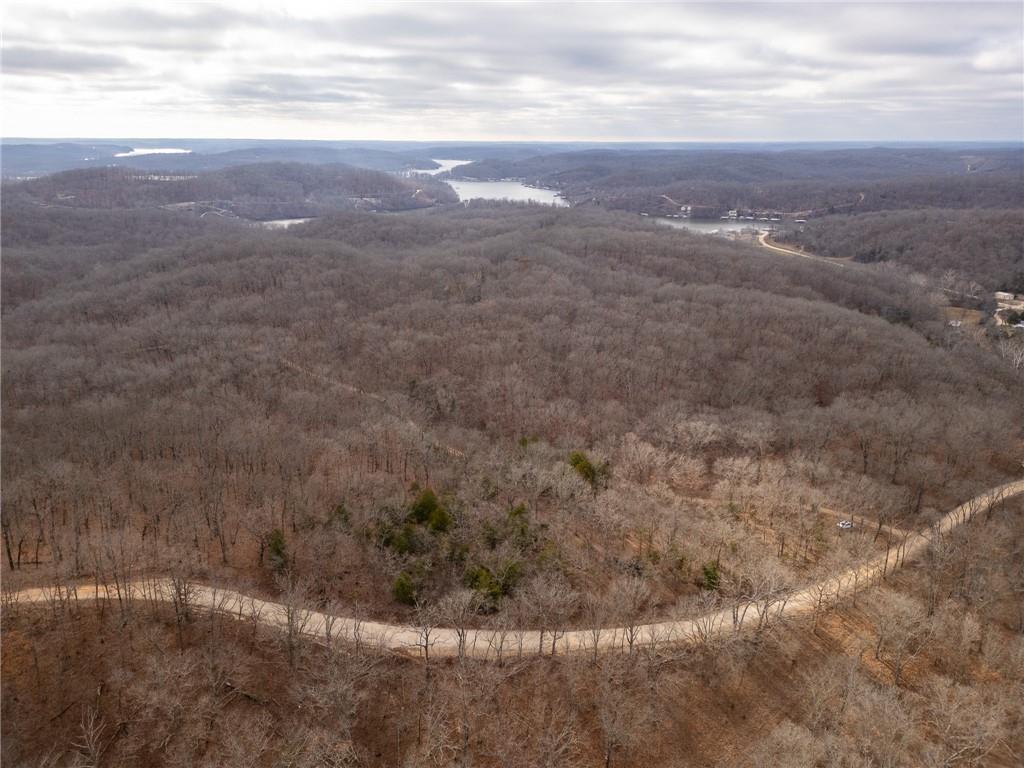 80-acres Proctor Road Gravois Mills, MO 65037 - Photo 40 of 76